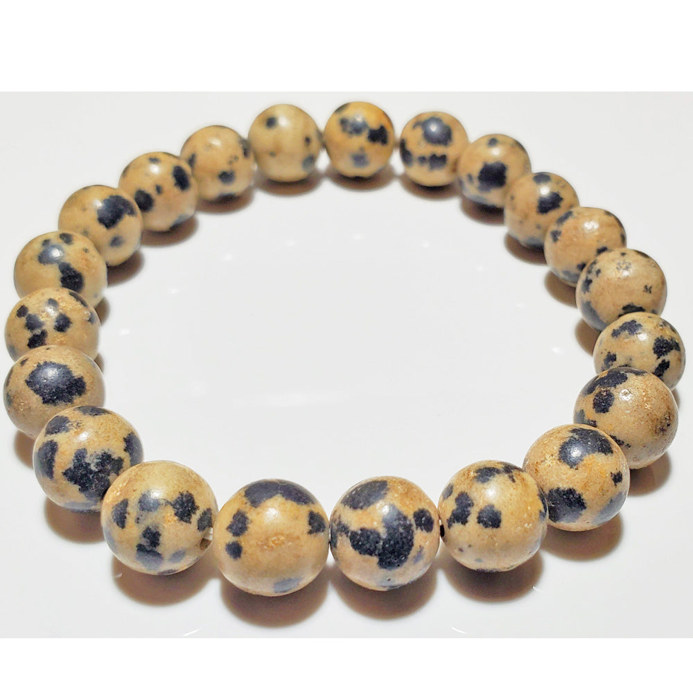 8mm Dalmatian Beaded Elastic Stretch Bracelet | Wild Lotus® | @wildlotusbrand